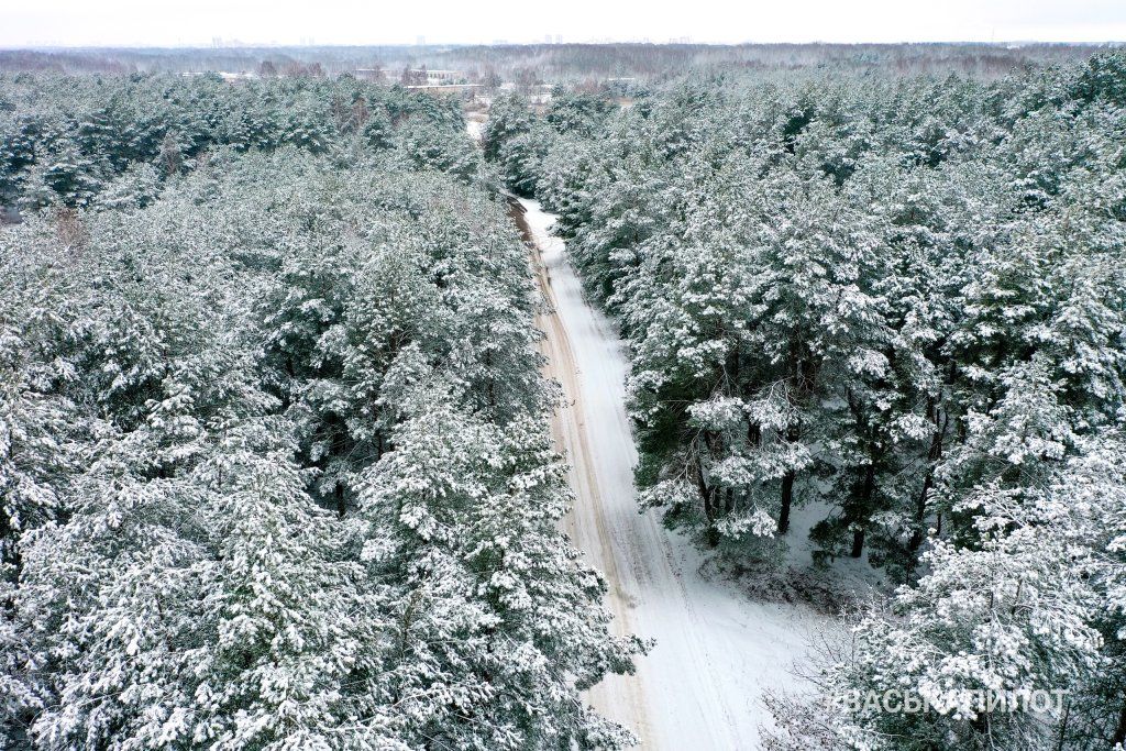Зимний Красный двор в Бресте