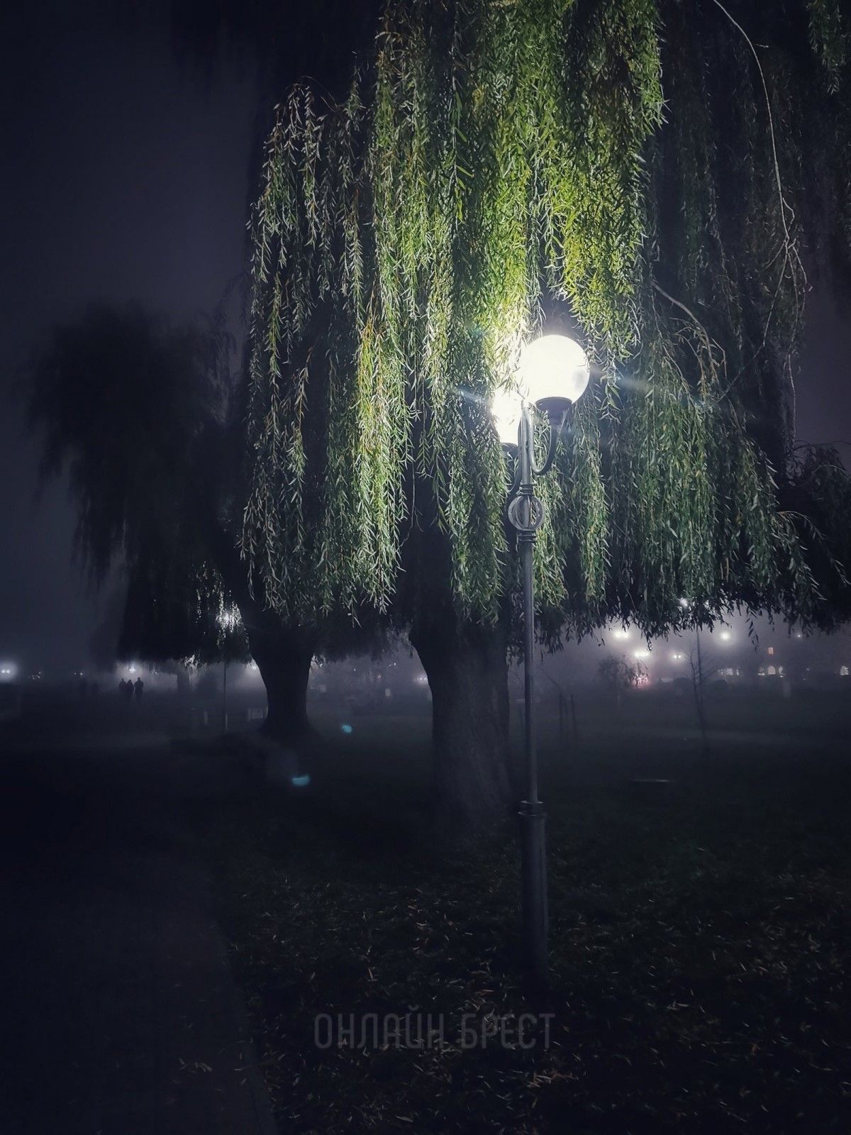 Читатель: Брест, Набережная. Фото были сделаны год назад