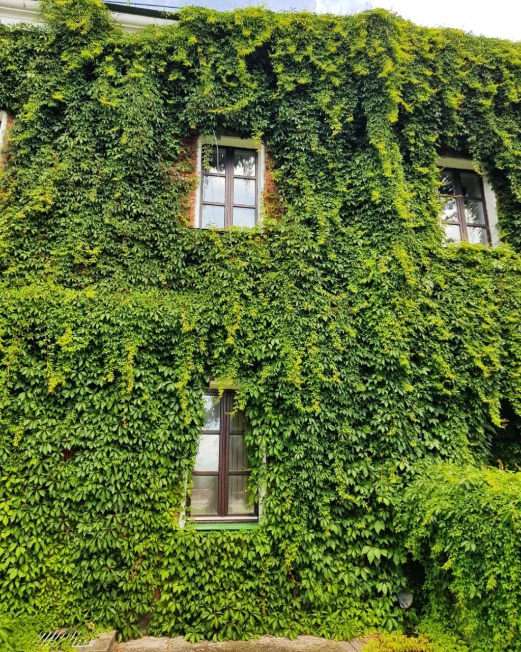 Такую красоту можно увидеть в Брестской крепости