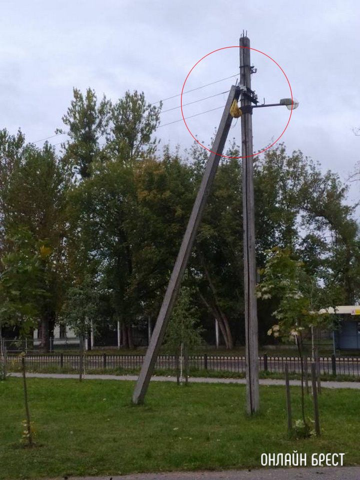 Читатель: Уже несколько дней чья-то спортивная сумка висит на столбе. Брест, м-н Дубровка, возле школа №33