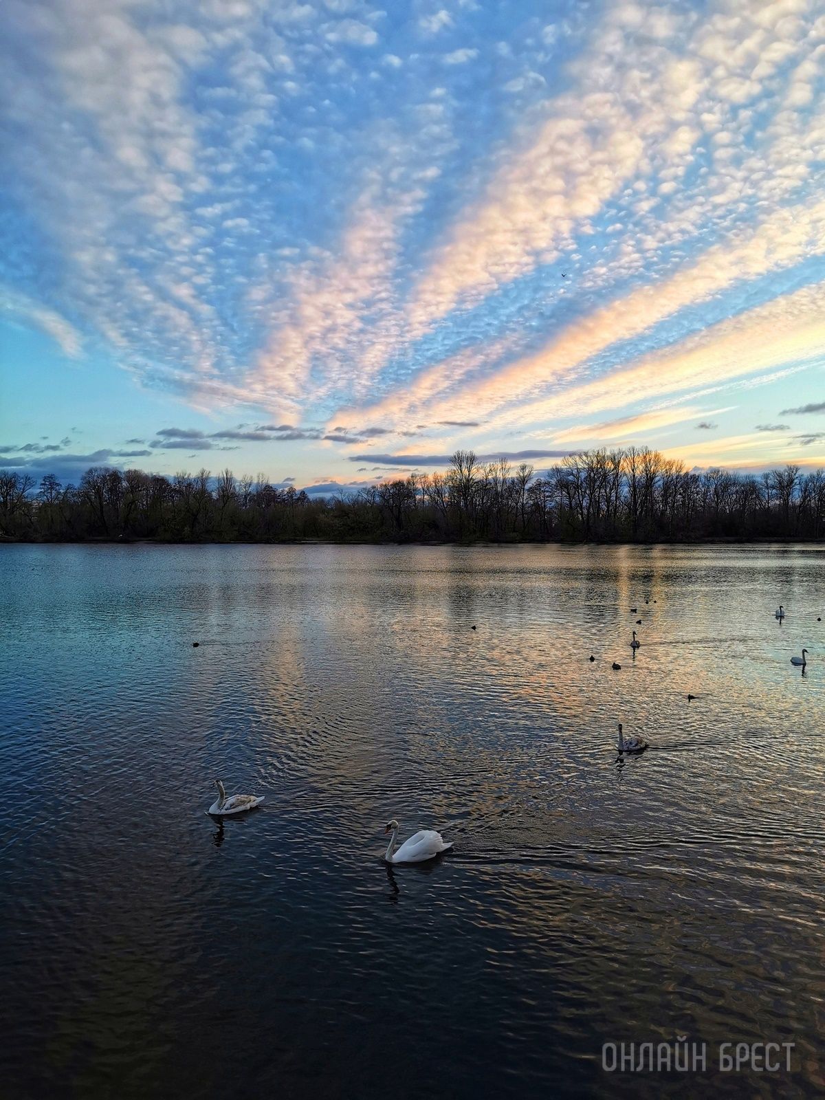 Читатель: Красивое окончание праздничного дня, 8 марта. Брест, Набережная
