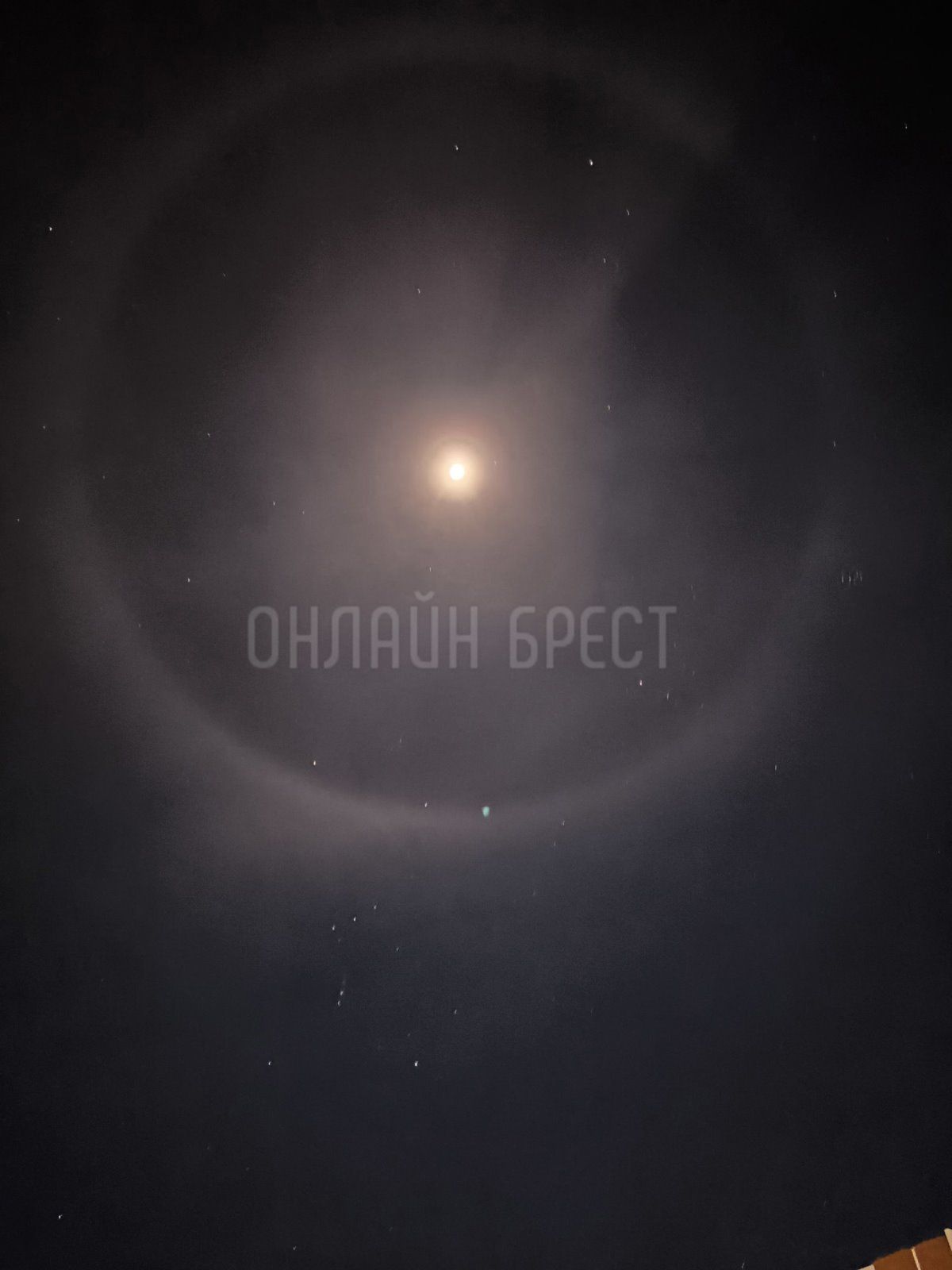 Читатель: Лунное гало замечено над Брестом