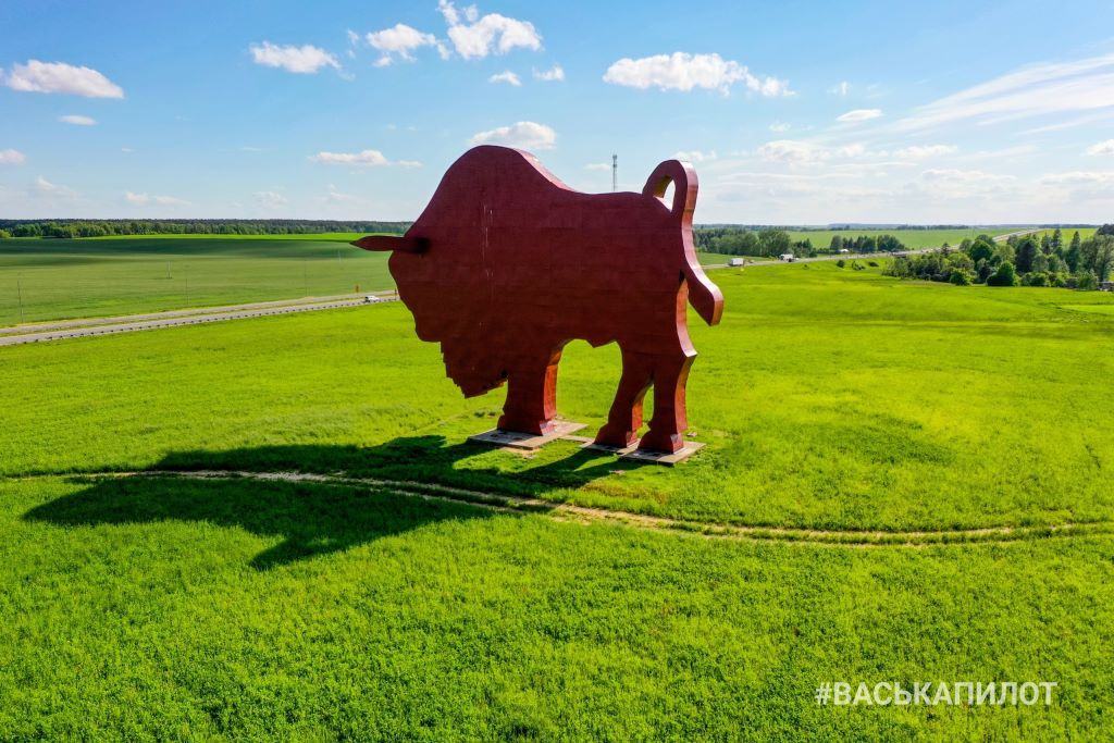 Зубр на трассе Брест-Минск