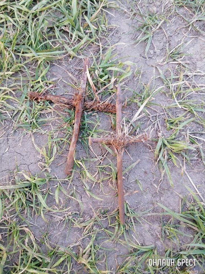 Читатель: Брестский район, д.Волки. Поехали отдохнуть на природу и ужаснулись от происходящего