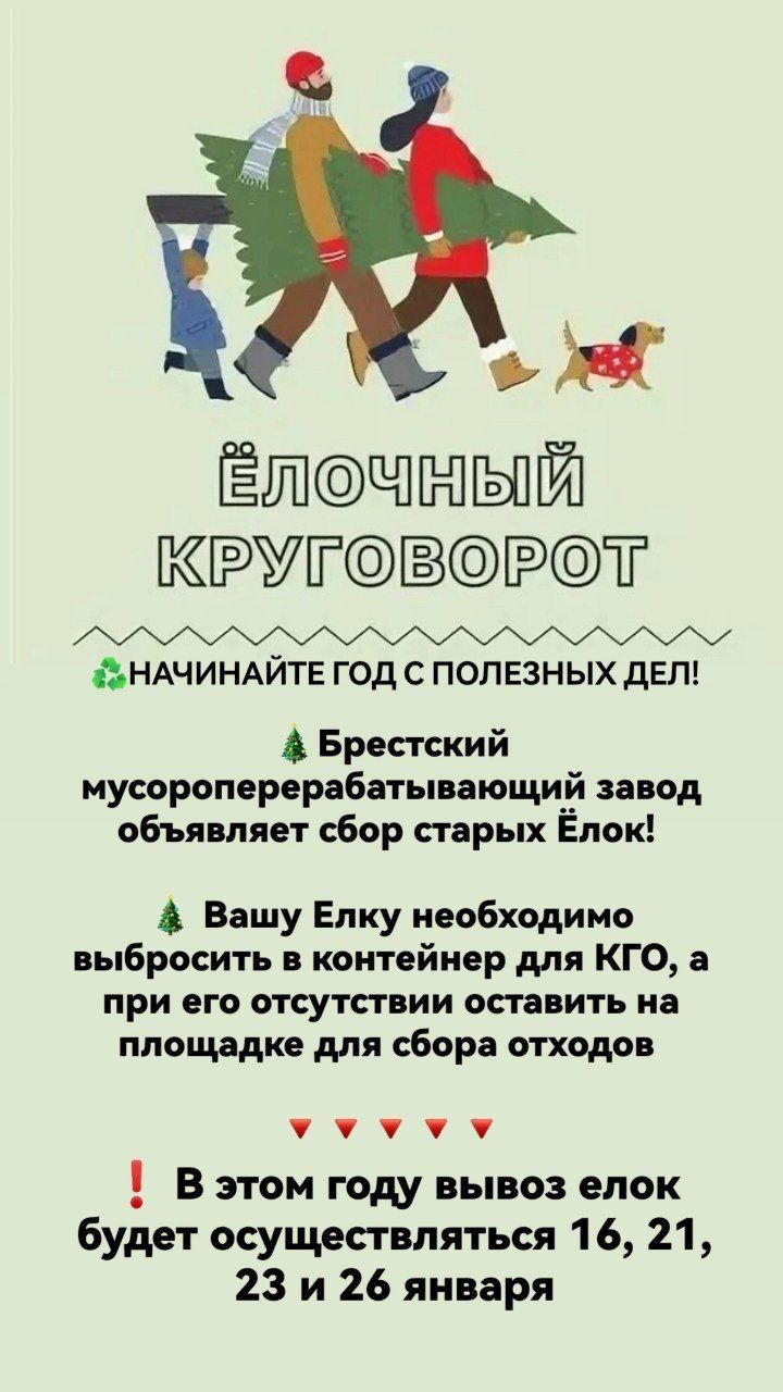 Брестский мусороперерабатывающий завод объявил сбор старых елок