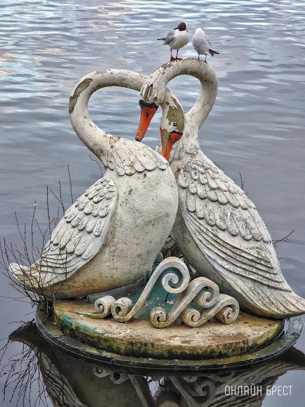 Читатель: «Влюбленные лебеди» на Набережной Бреста. Очень красивая скульптура! Жаль, что состояние не идеальное