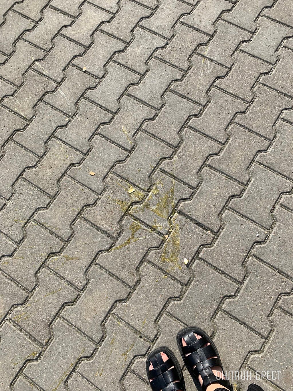 Читатель: В Бресте ул. Криштафовича. Кто-то бросает яйца из окна. Повезло, чуть не попали по мне :)