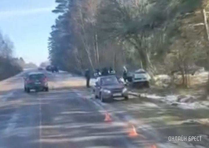 Очевидец: Жесть в Барановичском районе