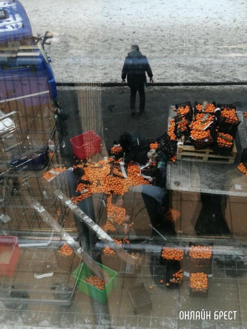 Читатель: Уронили мандарины. Сегодня возле АЛМИ на Московской в Бресте