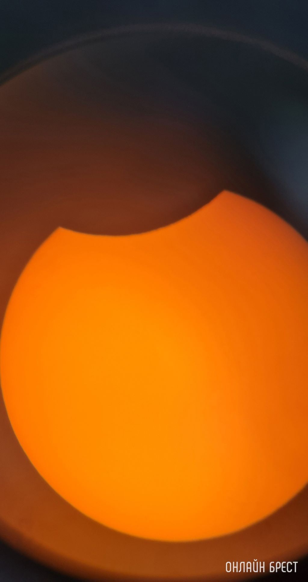 Так выглядело сегодняшнее солнечное затмение в Бресте