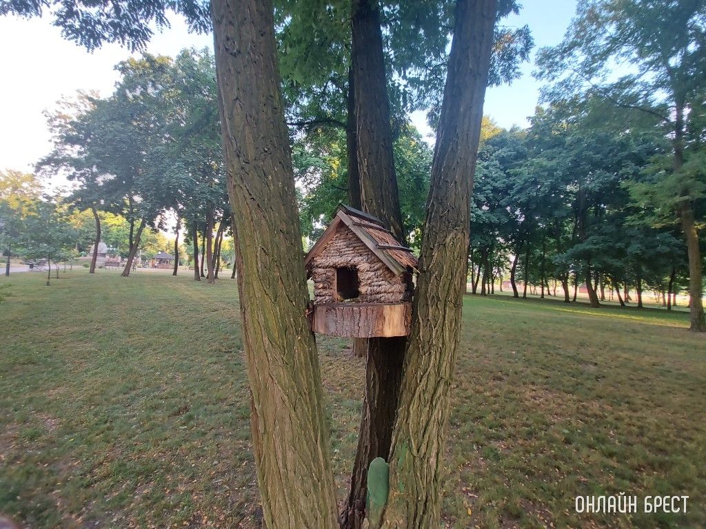 Брест. Летний Городской сад вечером после дождя