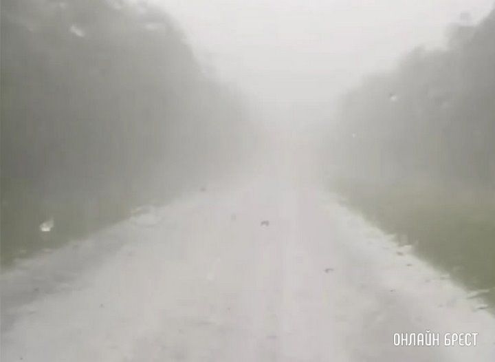 Очевидец: Нормально так дождь поливает! Брестская область, дорога с Видомли на Высокое