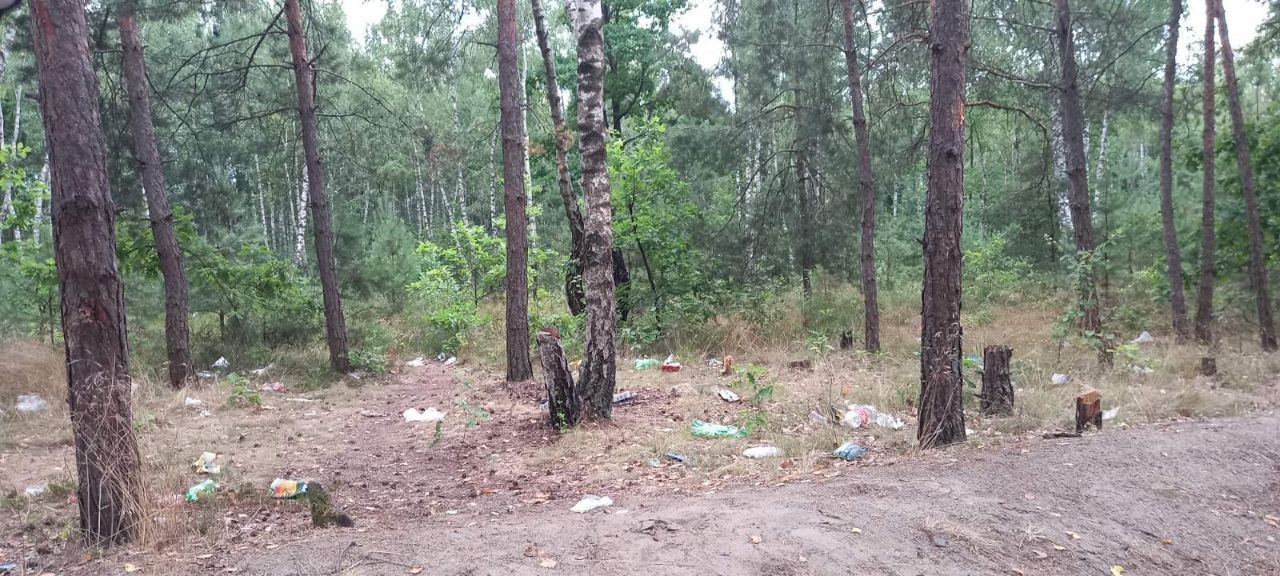 Как отдыхать не нужно. Красный двор. Лес. Правый берег озера