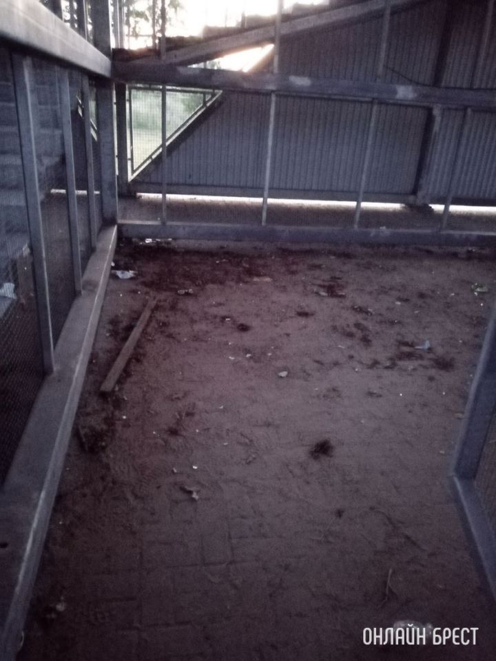 У меня просто крик души за город