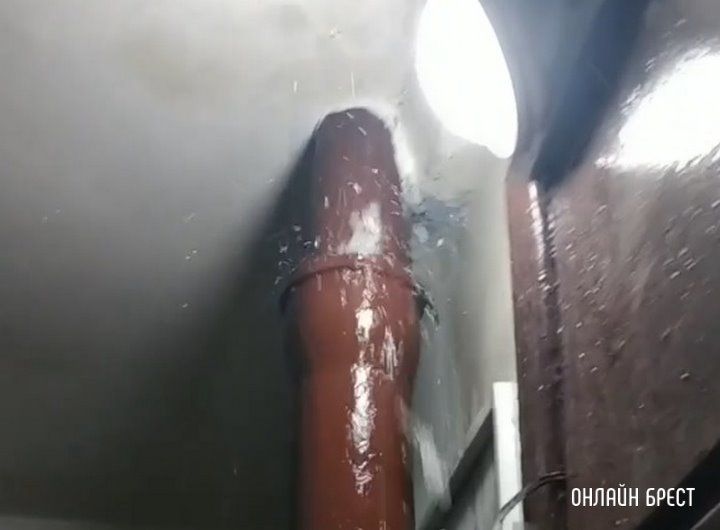 Читатель: Сегодня утром. Брест,  улица Московская, 338