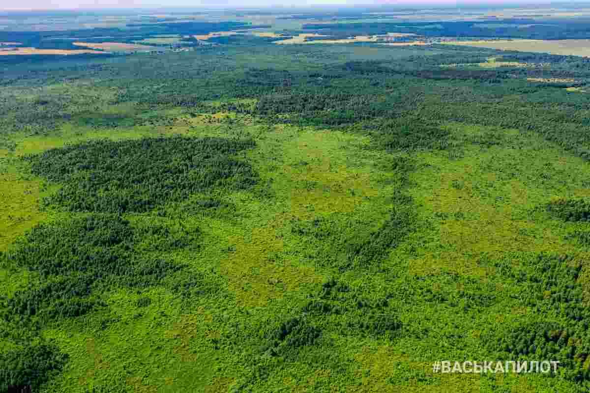 Беловежская пуща с высоты