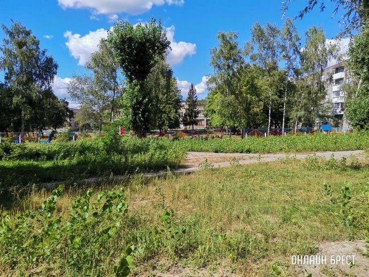 Читатель: Брест, ул. Янки Купалы, 12. Территория во дворе возле садика нуждается в покосе травы