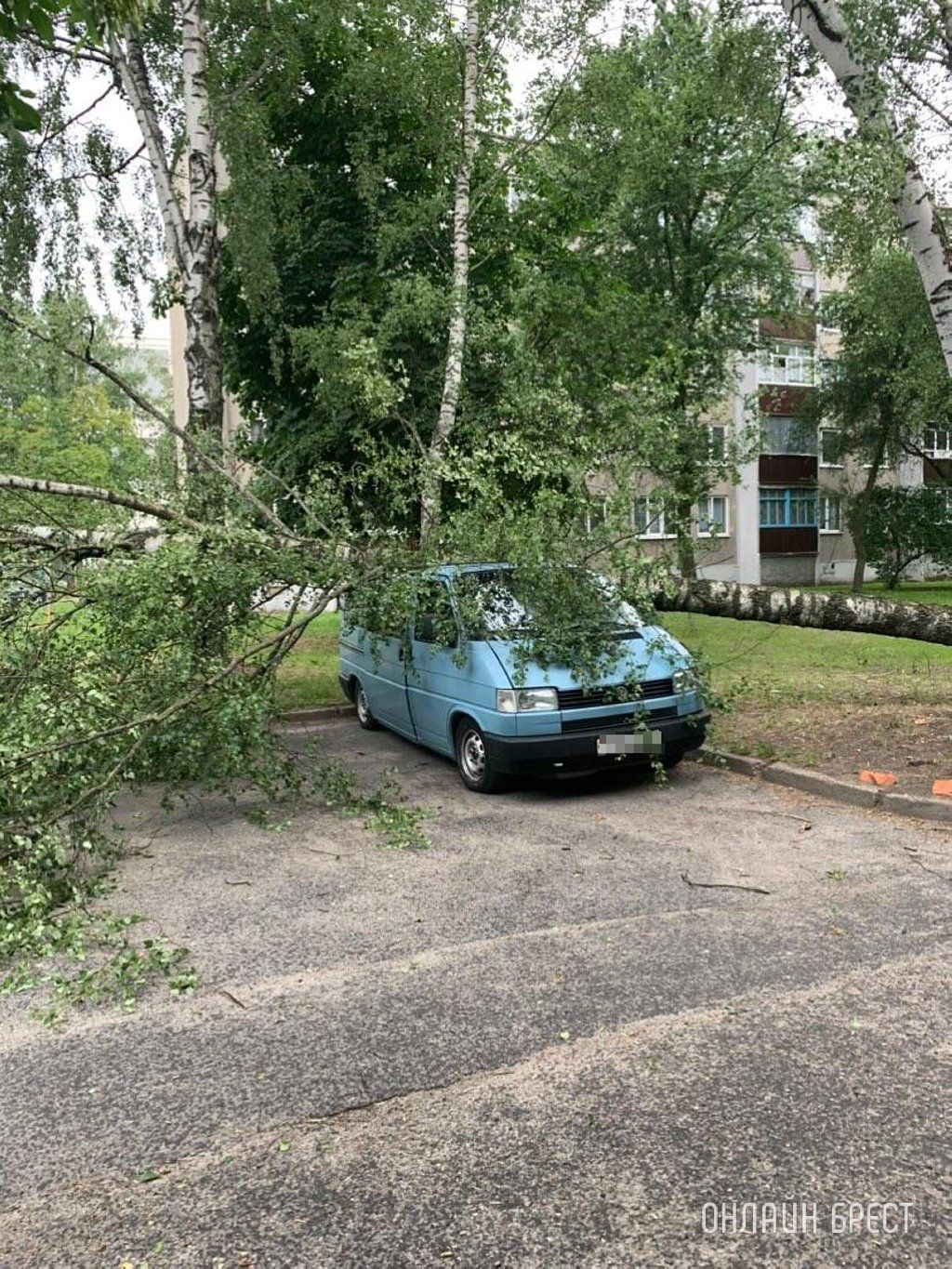 Сегодня в Пинске от непогоды пострадали машины