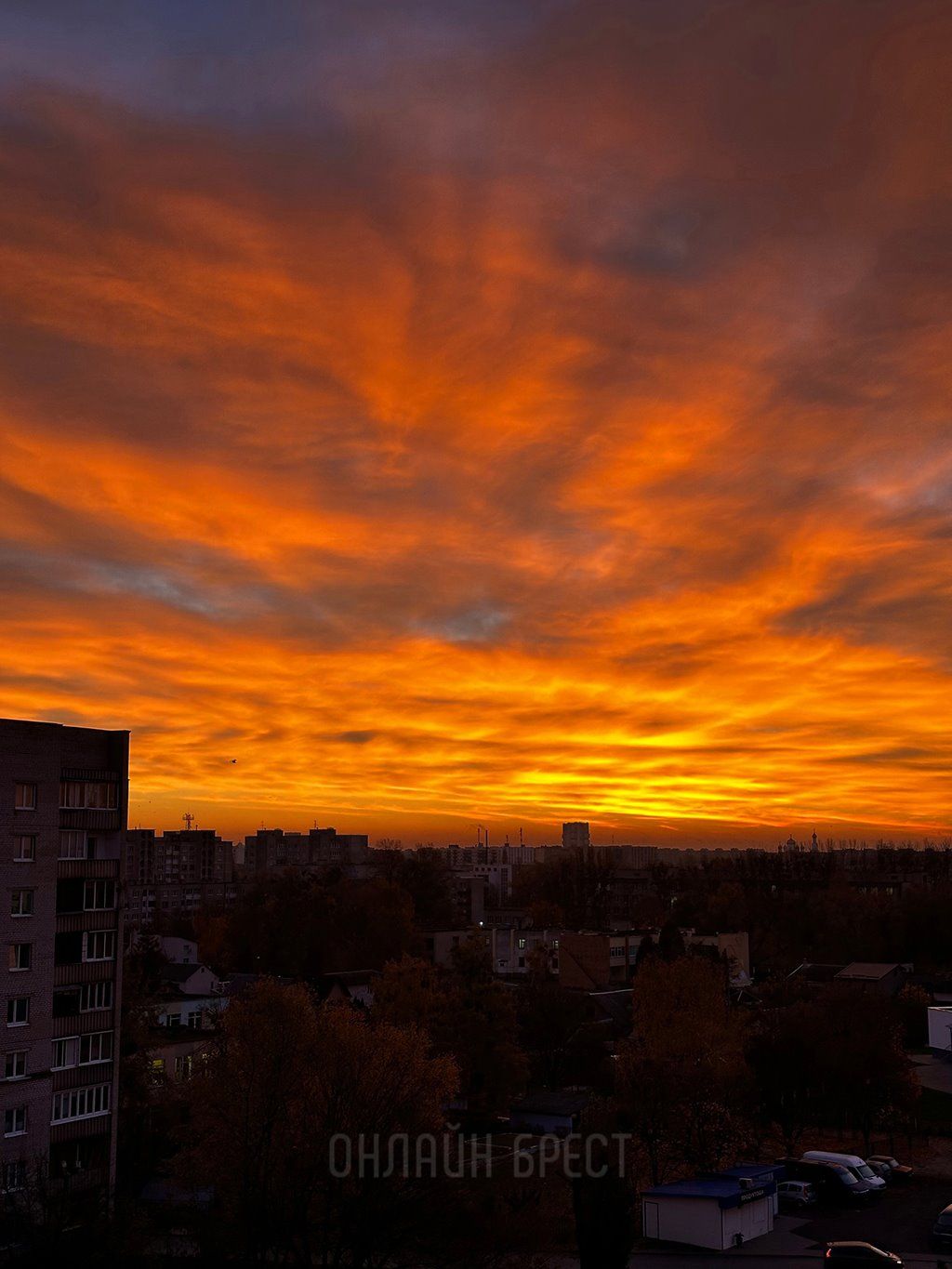 Читательница: Вау! Посмотрите, какой огненный рассвет был сегодня в Бресте