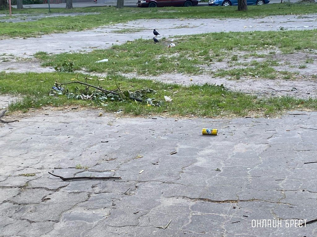 Читатель: Территория детской площадки нуждается в уборке. Брест, бульвар Космонавтов, 33