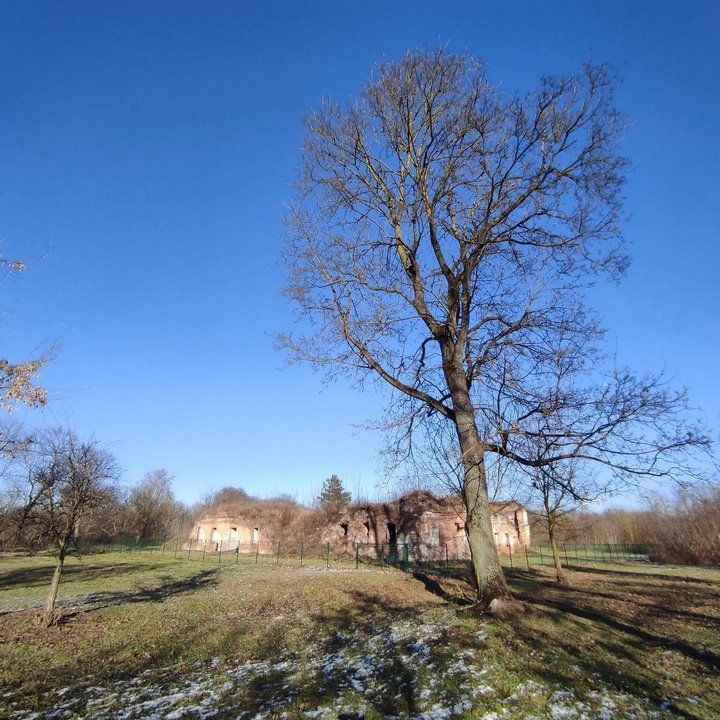 Брест. Информационный щит у руин Бернардинского монастыря в аварийном состоянии