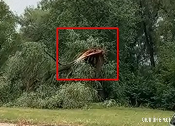 Брест, Набережная. Последствия вчерашней непогоды