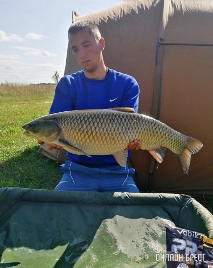 Улов читателя