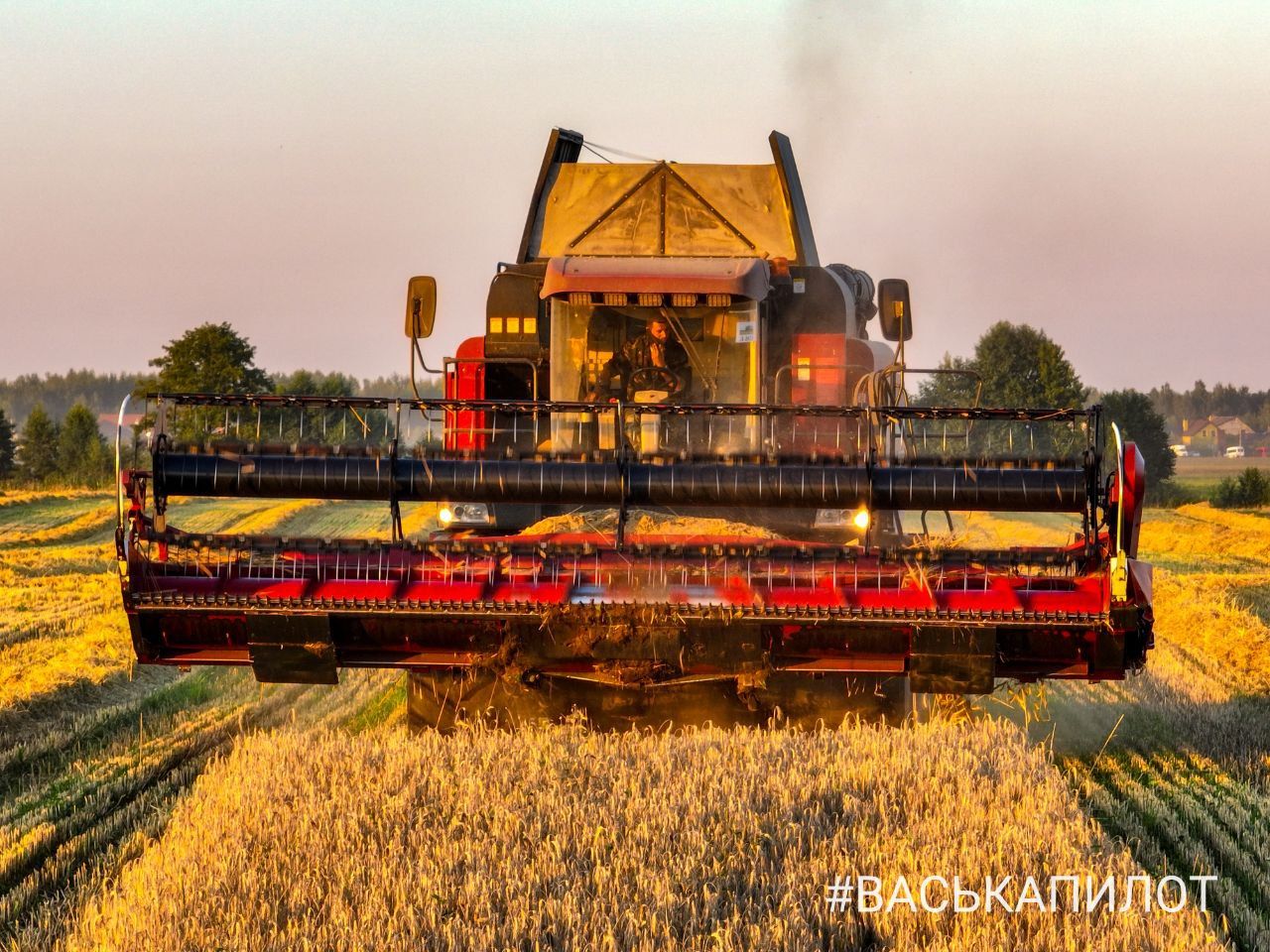 Комбайнеры в поле! Рабочий процесс уборки зерна в Брестском районе