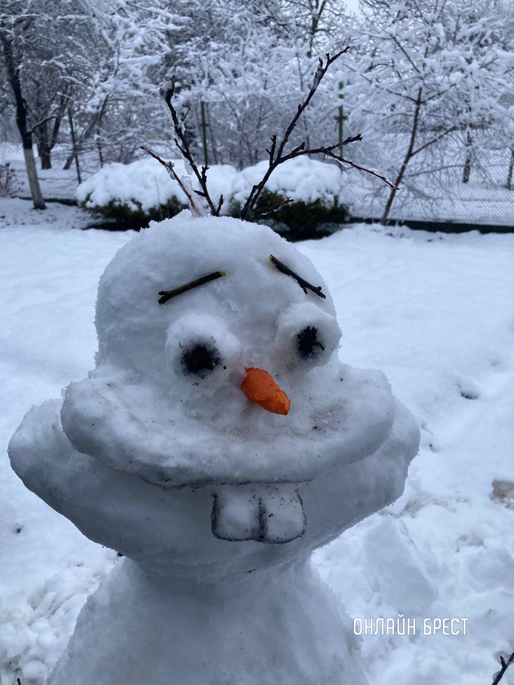 Читатель:  Посмотрите, какой классный снеговик слепили :)