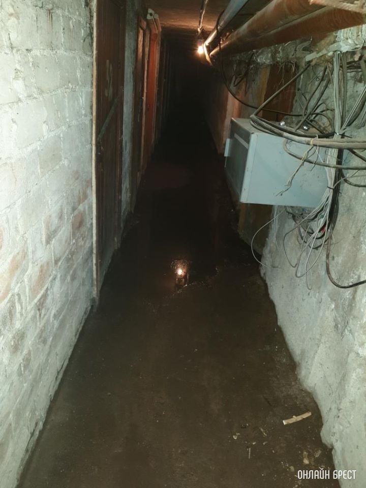 Брест, Скрипникова, 119. Подвал дома. Только воды сейчас еще больше