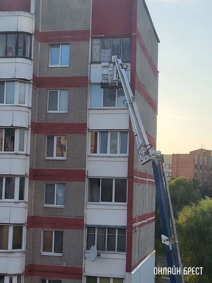 Читатель: Сегодня в Бресте на Суворова спасатели помогли снять осиное гнездо