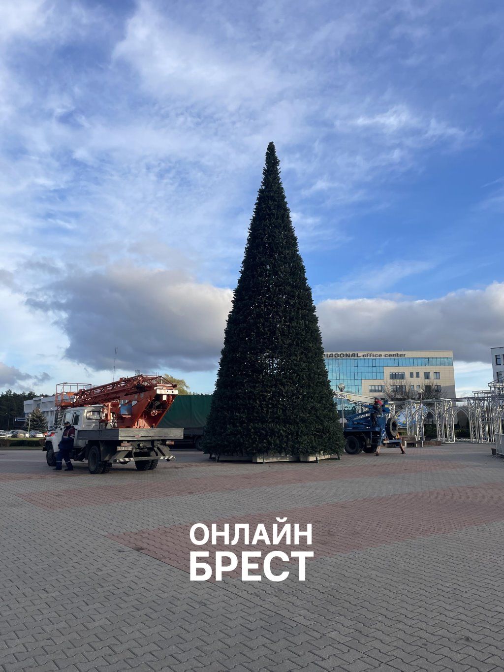 В Бресте появляются новогодние ёлки