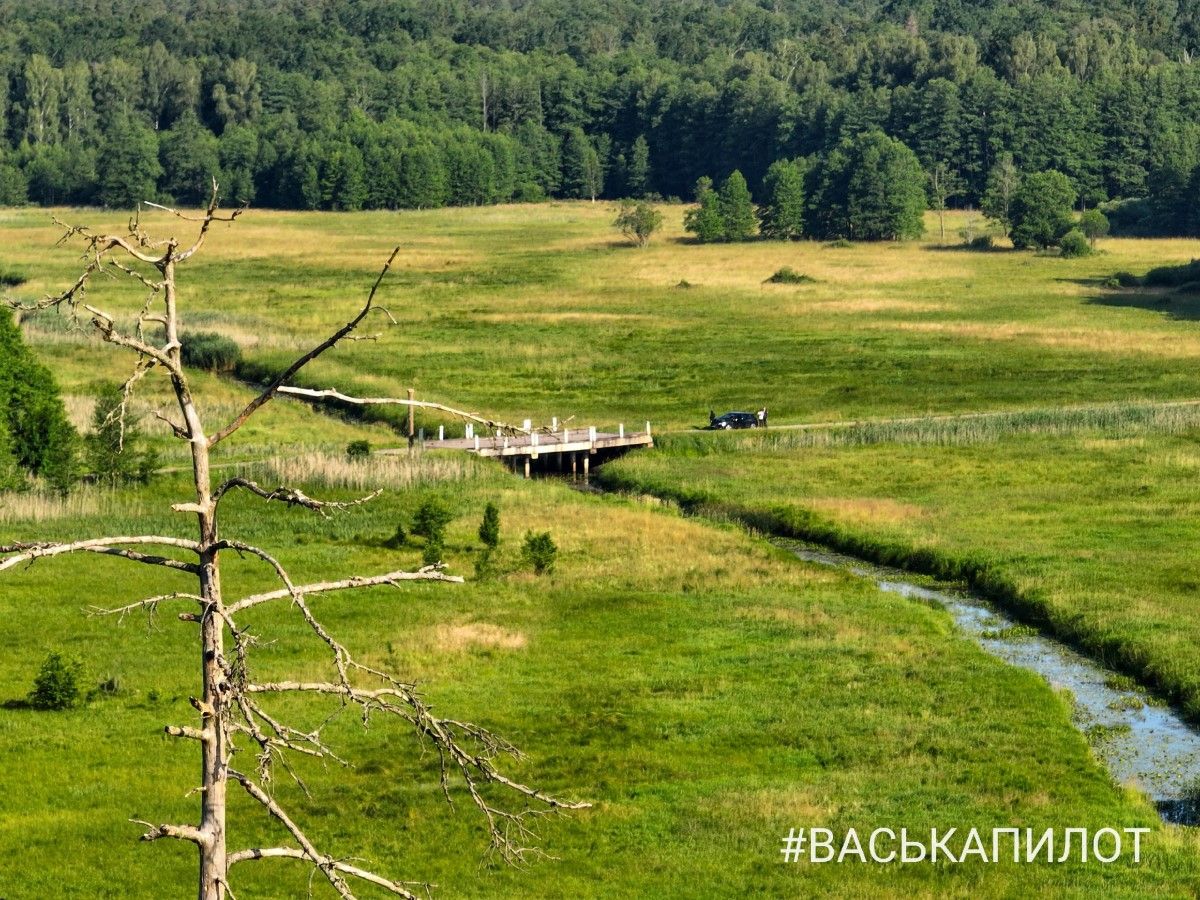 Беловежская пуща с высоты