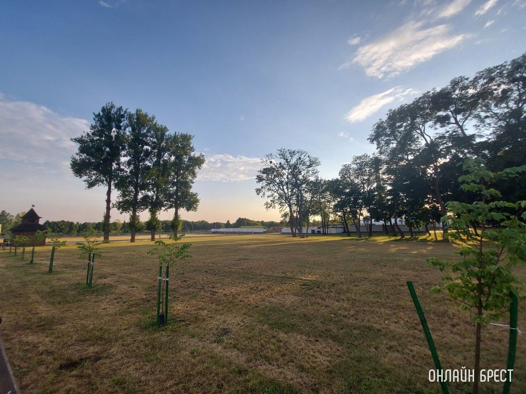 Брест. Летний Городской сад вечером после дождя