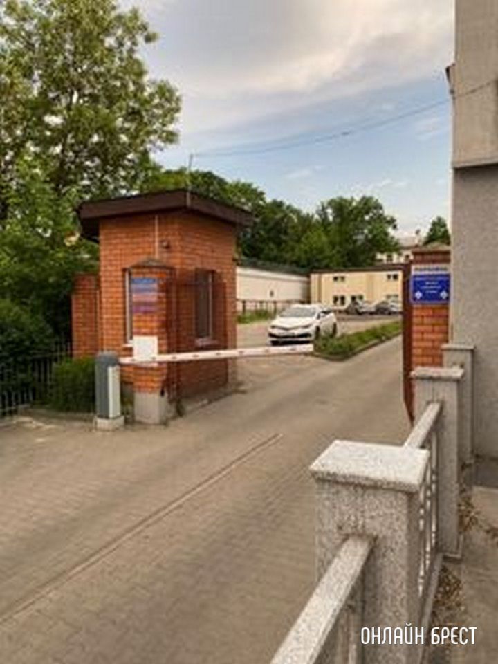 Читатель: Потерялся кот или кошка, на Суворова залез в грузовик Wildberries и доехал до комсомольской. Видно, что домашний