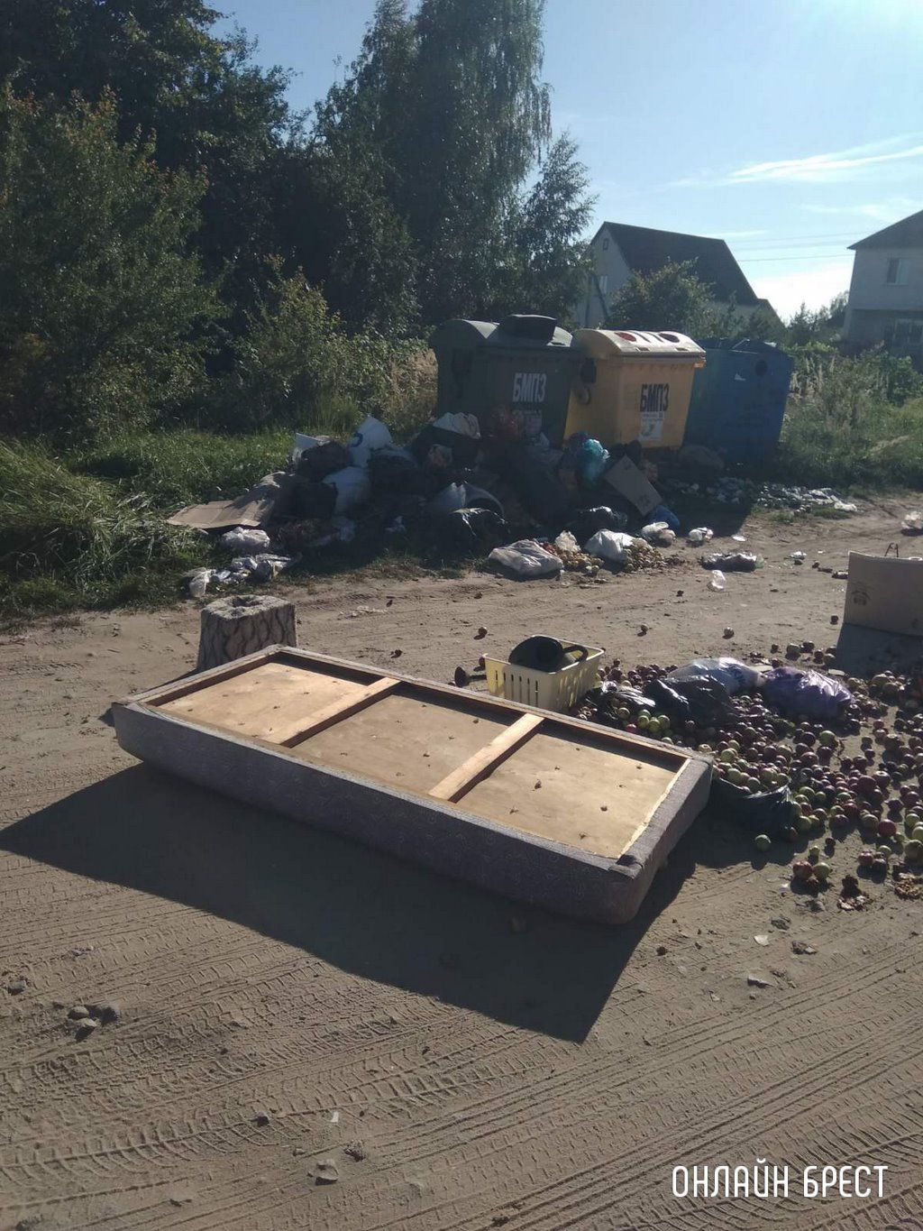 Читатель: 03.09.22. Мусор на улице Абрикосовой, г. Брест. Нет слов. Как люди могут довести до такого беспорядка?