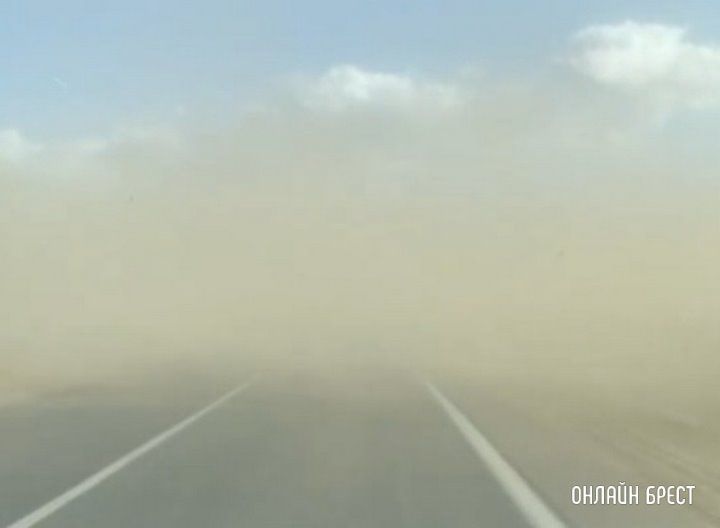 Читатель: Не часто такое увидишь! Сегодня песчаная буря накрыла автодорогу в Брестской области (Пружаны-Берёза)