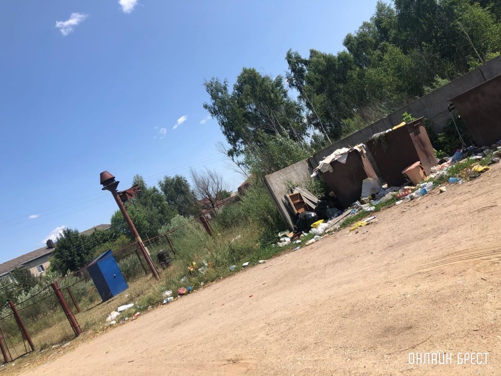 Читатель: Деревня Именин, Кобринский район. Деревня примыкает к городу. Такое происходит не редко