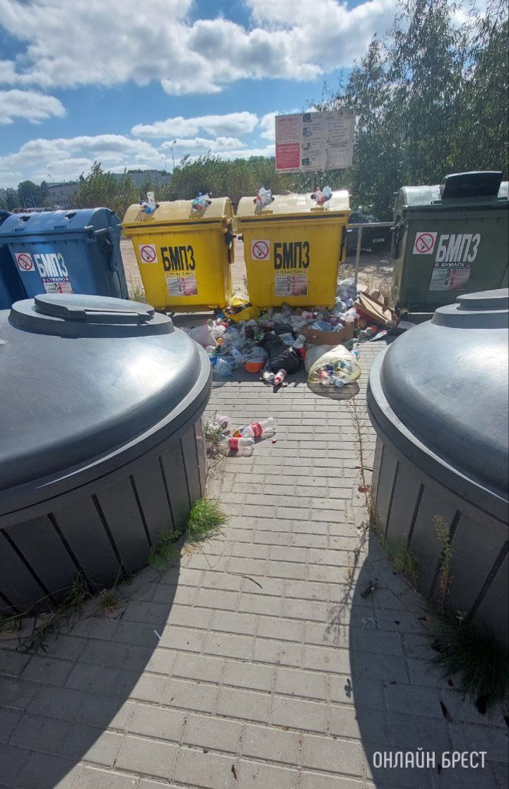 Читательница: Брест, ул. Рябиновая, 4. Мусор разлетается по двору
