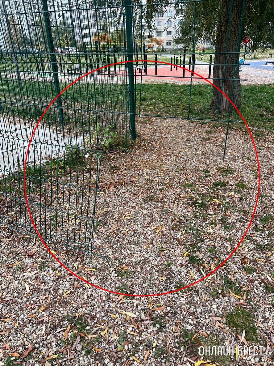 Читатель: Здесь бегают маленькие дети и может быть беда