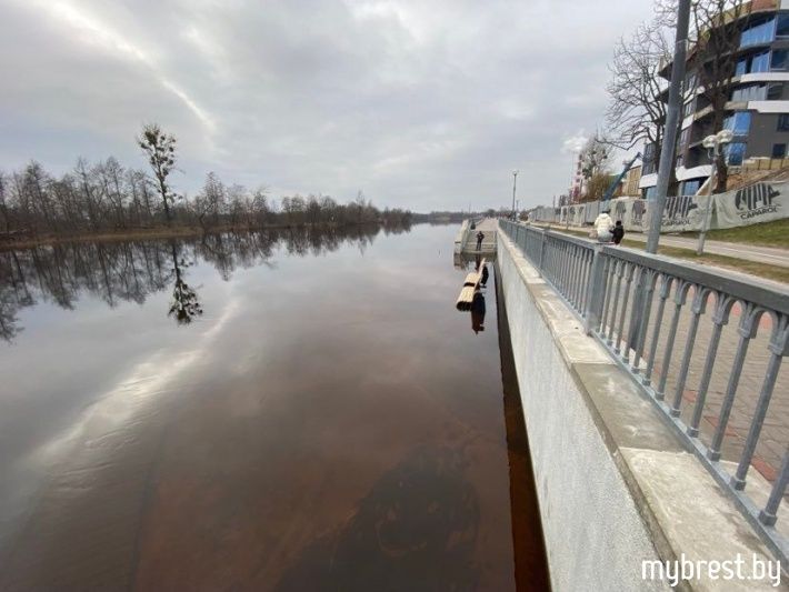 Скамейки в воде. Как выглядит Набережная в Бресте