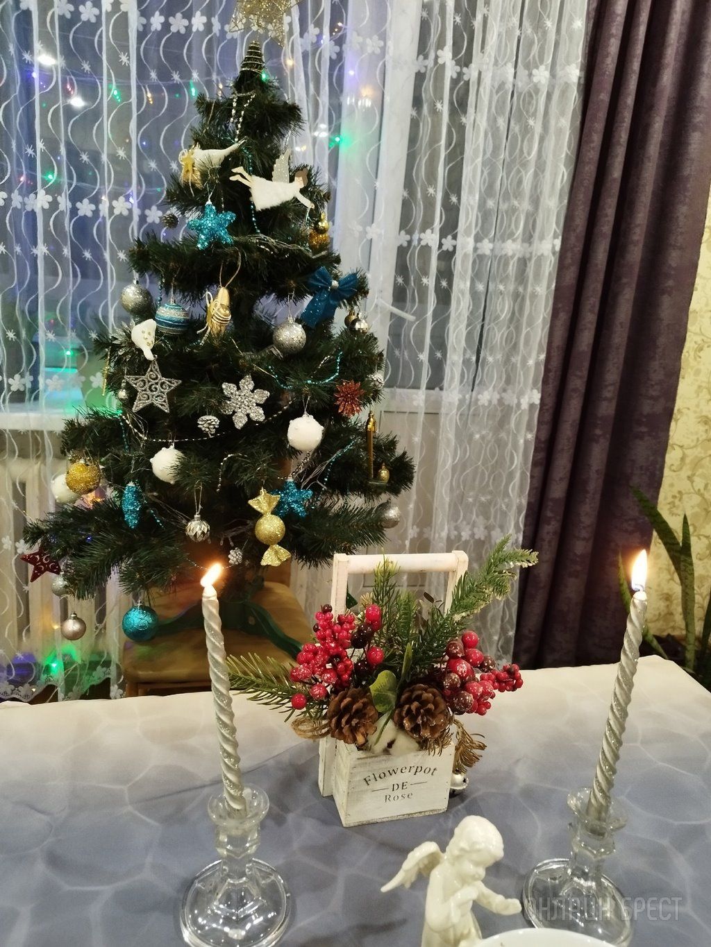 Новогодние красавицы наших читателей