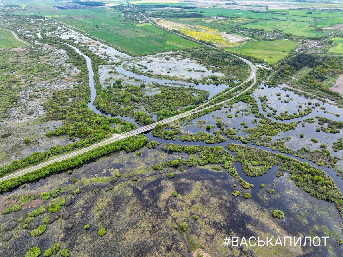 Природа. Кадры сделаны в Брестской области, недалеко от Пинска
