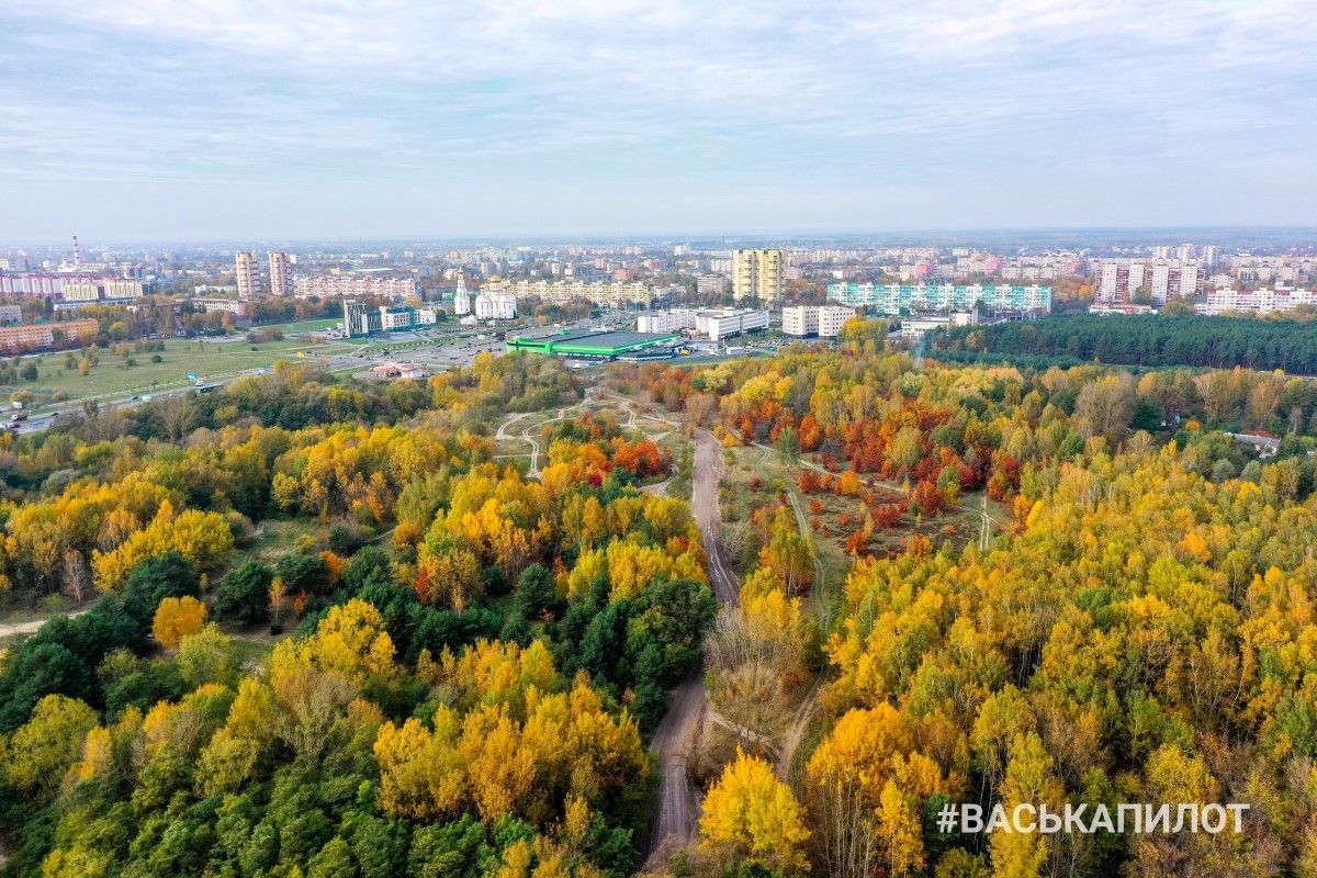 Вот и осень пришла