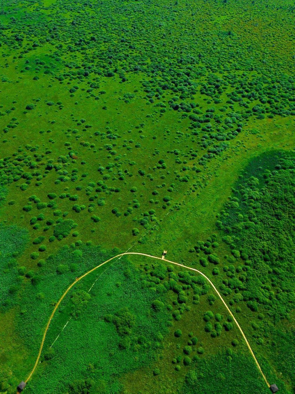 Экотропа в биологическом заказнике «Споровский» с двумя паромными переправами через реку Ясельда. Протяженность тропы 1,5 км