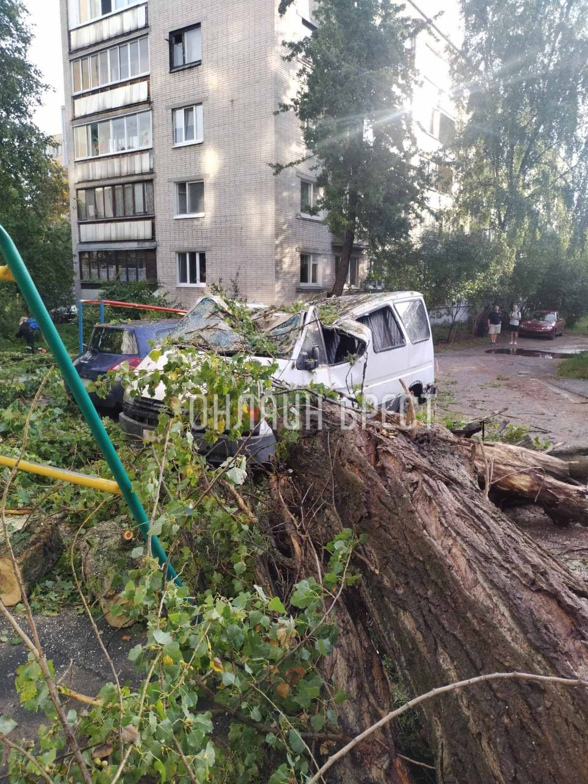 Читатель: Последствия ночной непогоды в Бресте. На ул. Куйбышева и ул. Янки Купалы деревья упали на машины