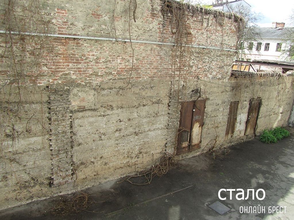 Во дворе дома по ул. Советской, 107 в Бресте срубили виноград. Более 20 лет зелень радовала не только жильцов дома, но и посетителей двора