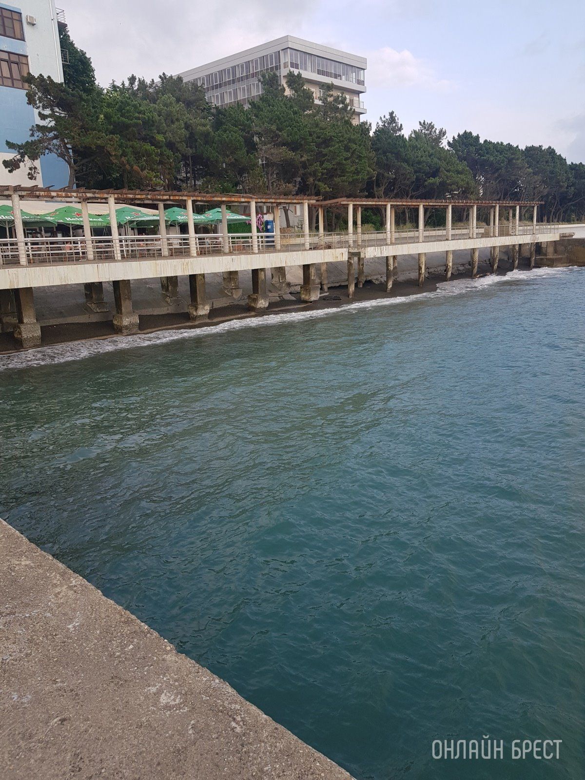 Читатель: Привет Бресту из Адлера!