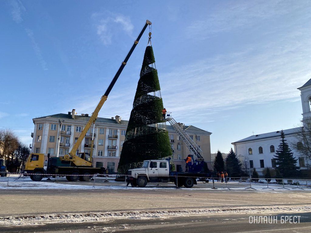 Читатель: Вот и праздники прошли...В Бресте начали разбирать главную новогоднюю ёлку