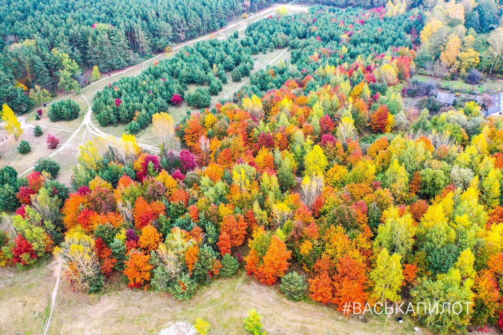 Краски осеннего Бреста